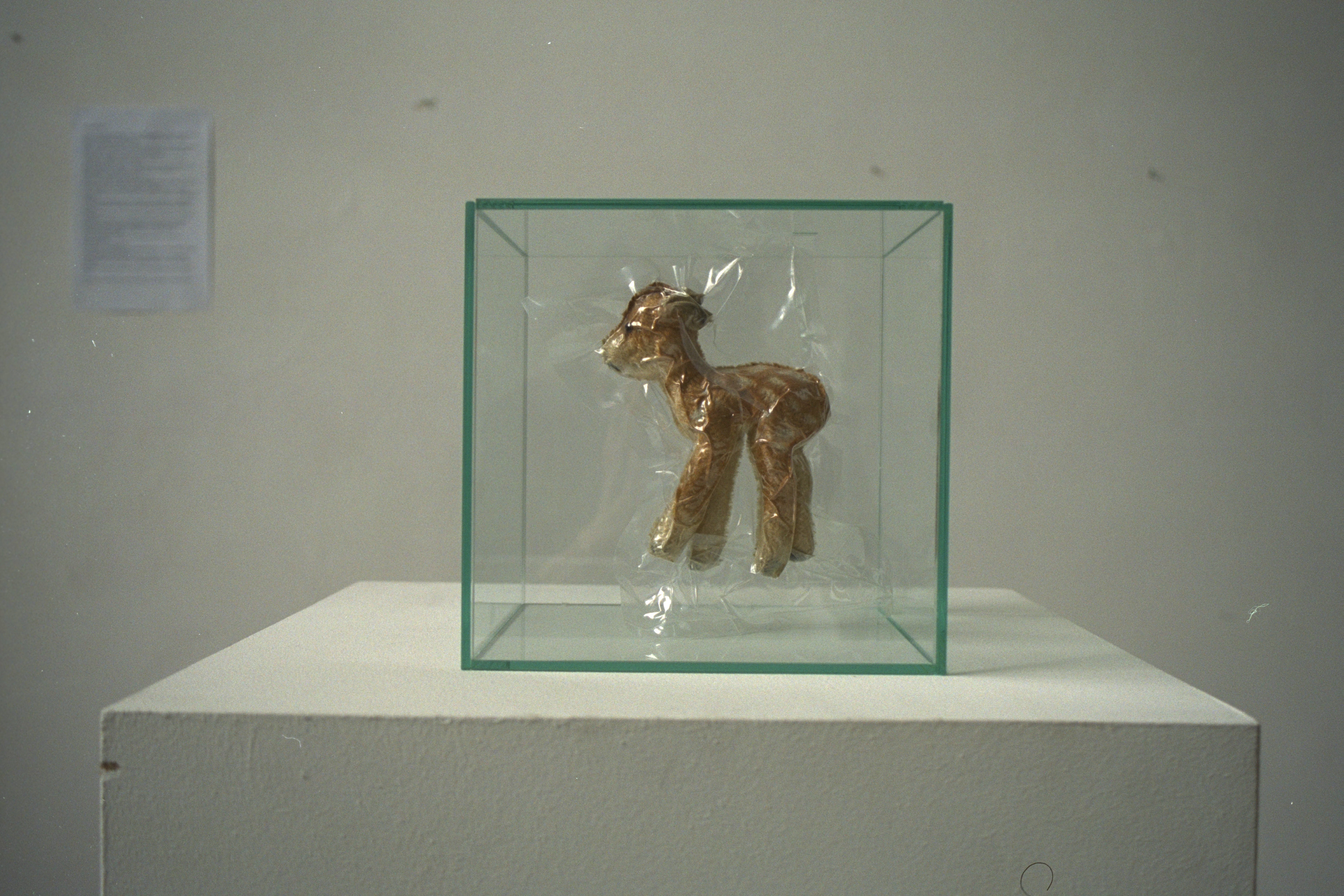 reh, vakumisiertes spielzeugtier akad.d.bild künste wien, 2001